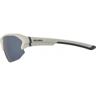 Alpina Lyron HR Okulary przeciwsłoneczne
