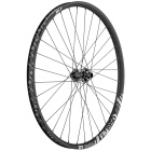 DT Swiss FR 1950 CLASSIC, front wheel