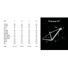 Lapierre PRORACE CF 9.9