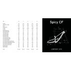Lapierre SPICY CF 8.9