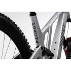 Ghost POACHA FULL PARTY