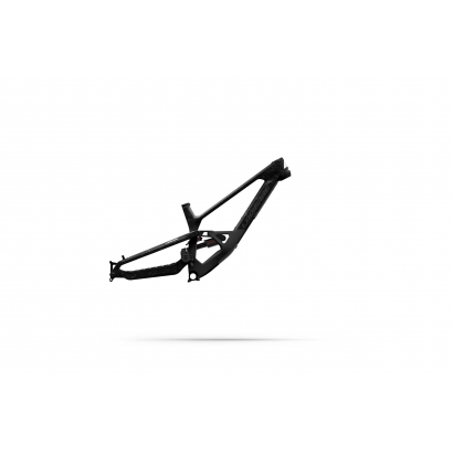 Rama Lapierre SPICY CF TEAM FRAMESET raw carbon - glossy 202