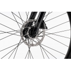 Ghost ASKET CF FULL PARTY