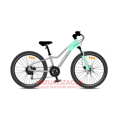 Rower młodzieżowy TABOU TOPSHE 24 PRO