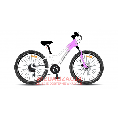 Rower młodzieżowy TABOU TOPSHE 20 PRO