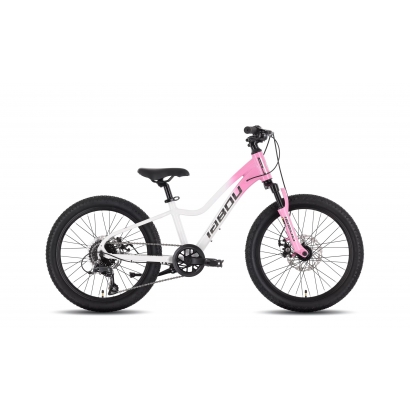 Rower młodzieżowy TABOU TOPSHE 20 PRO