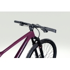 Lapierre PRORACE CF 6.9