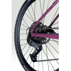 Lapierre PRORACE CF 6.9