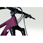 Lapierre PRORACE CF 6.9