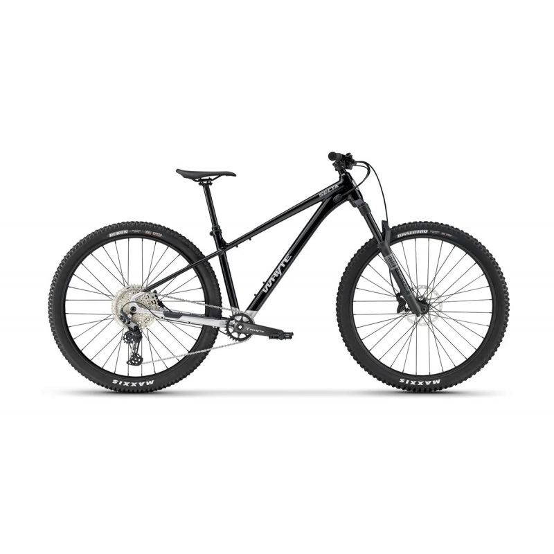 WHYTE Secta RS Gloss black with silver (AWSECRS)