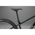 WHYTE Secta RS Gloss black with silver (AWSECRS)
