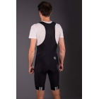 Spodenki FS260-Pro Thermo Bibshort - Endura