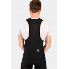 Spodnie FS260-Pro Thermo Bibtights II - Endura