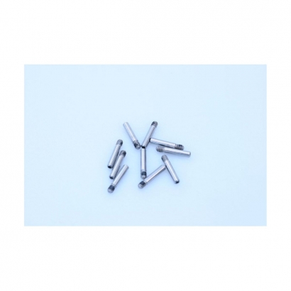 Pad retaining screws