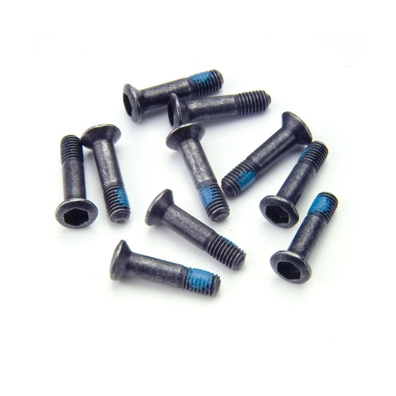 Lever blade fitting screw for HS33 from MY2010 (PU 10 pcs)